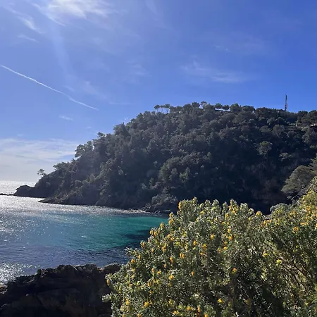 Apartment A Cavalaire-sur-mer, 4 Couchages, Parking - Fr-1-226b-167 *